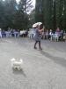 Prezerať pa090177_t1.jpg